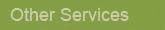 Other Services