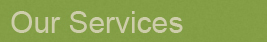 Our Services